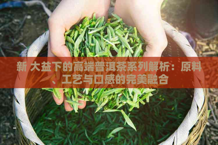 新 大益下的高端普洱茶系列解析：原料、工艺与口感的完美融合