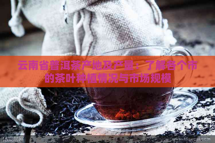 云南省普洱茶产地及产量：了解各个市的茶叶种植情况与市场规模