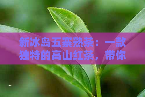 新冰岛五寨熟茶：一款独特的高山红茶，带你领略自然醇香之美！