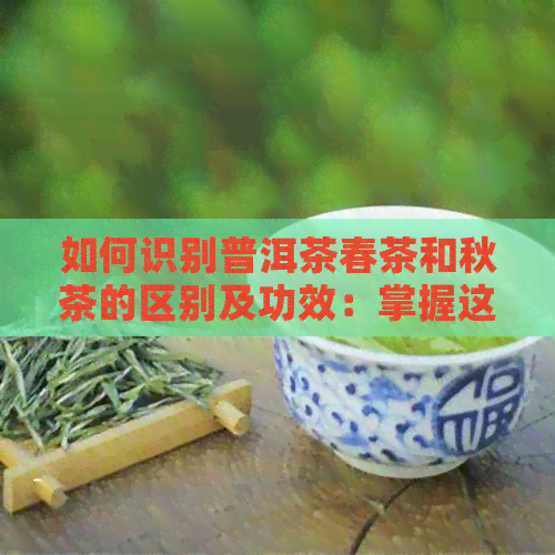 如何识别普洱茶春茶和秋茶的区别及功效：掌握这三点就够了