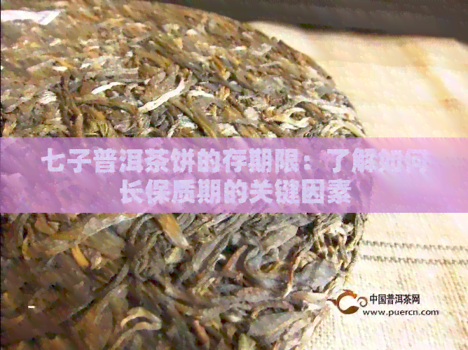 七子普洱茶饼的存期限：了解如何长保质期的关键因素