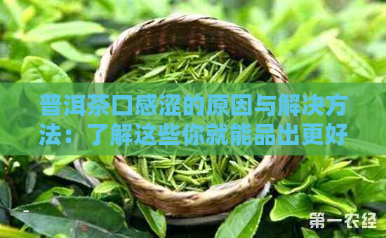 普洱茶口感涩的原因与解决方法：了解这些你就能品出更好的普洱茶