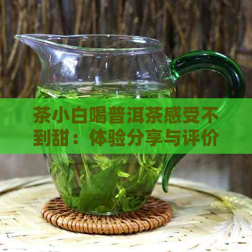 茶小白喝普洱茶感受不到甜：体验分享与评价