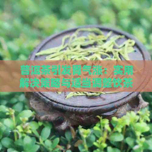 普洱茶引发胃气涨：实用解决策略与适当调整饮茶惯