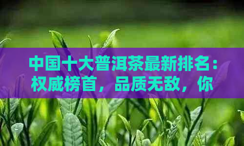 中国十大普洱茶最新排名：权威榜首，品质无敌，你值得拥有！