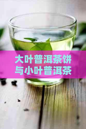 大叶普洱茶饼与小叶普洱茶饼：口感和香气的对比分析