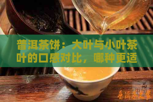 普洱茶饼：大叶与小叶茶叶的口感对比，哪种更适合你的口味？