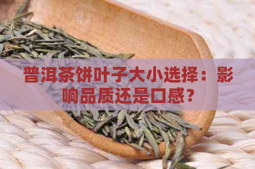 普洱茶饼叶子大小选择：影响品质还是口感？