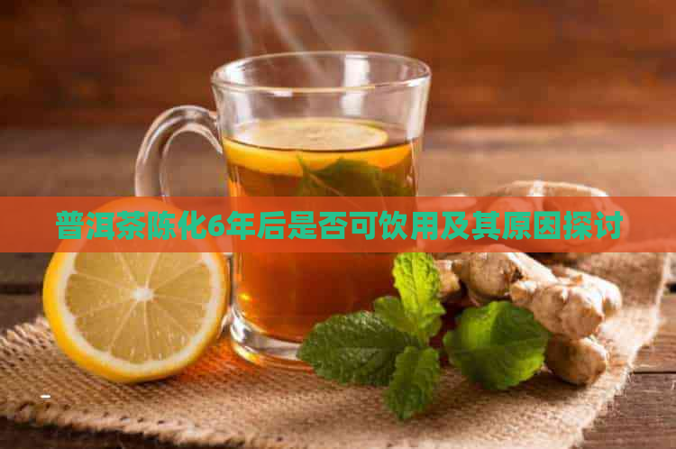 普洱茶陈化6年后是否可饮用及其原因探讨