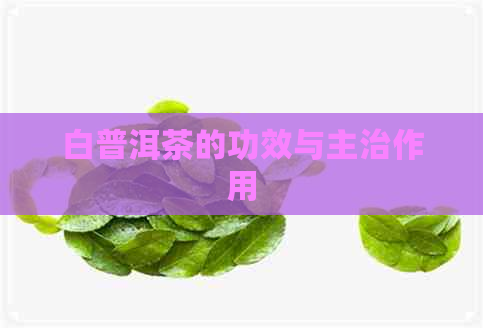 白普洱茶的功效与主治作用