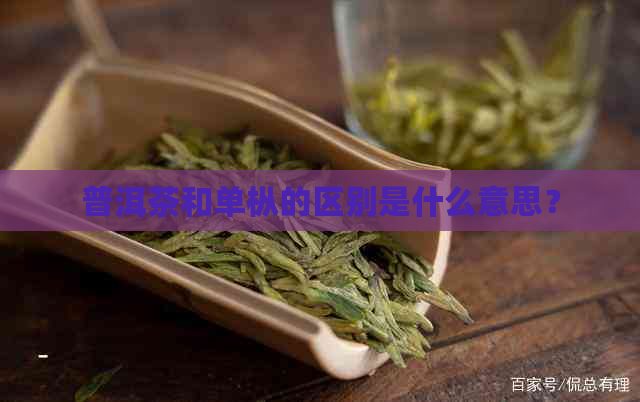 普洱茶和单枞的区别是什么意思？