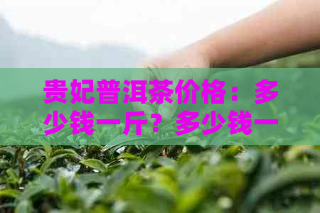 贵妃普洱茶价格：多少钱一斤？多少钱一盒？多少钱一克？