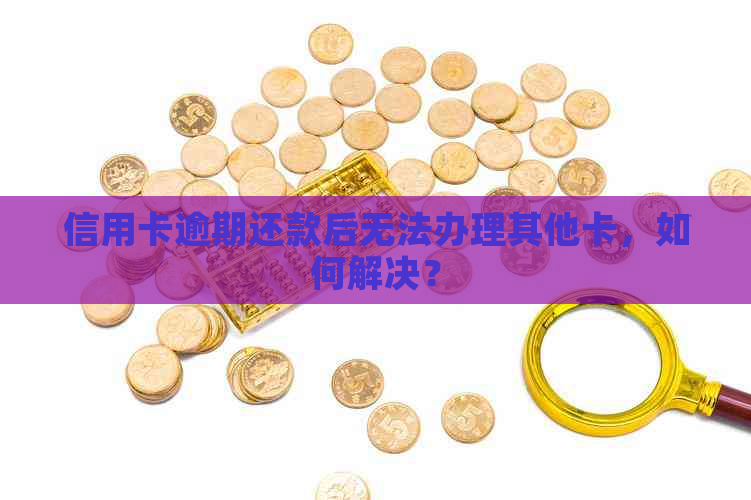 信用卡逾期还款后无法办理其他卡，如何解决？