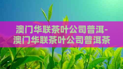 华联茶叶公司普洱-华联茶叶公司普洱茶2004年班章