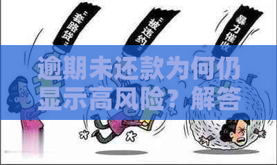 逾期未还款为何仍显示高风险？解答用户疑惑，全面分析风险评估因素