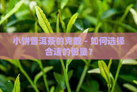 小饼普洱茶的克数 - 如何选择合适的份量？