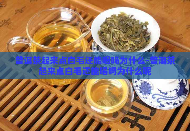 普洱茶起来点白毛还能喝吗为什么-普洱茶起来点白毛还能喝吗为什么呢