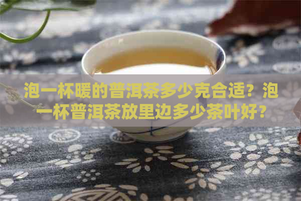 泡一杯暖的普洱茶多少克合适？泡一杯普洱茶放里边多少茶叶好？