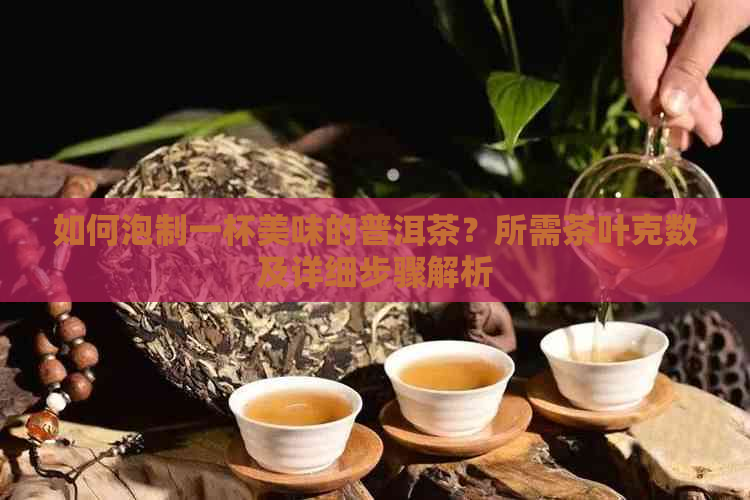 如何泡制一杯美味的普洱茶？所需茶叶克数及详细步骤解析