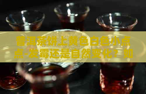 普洱茶饼上黄色白色小点点-发霉还是自然变化？如何鉴别？