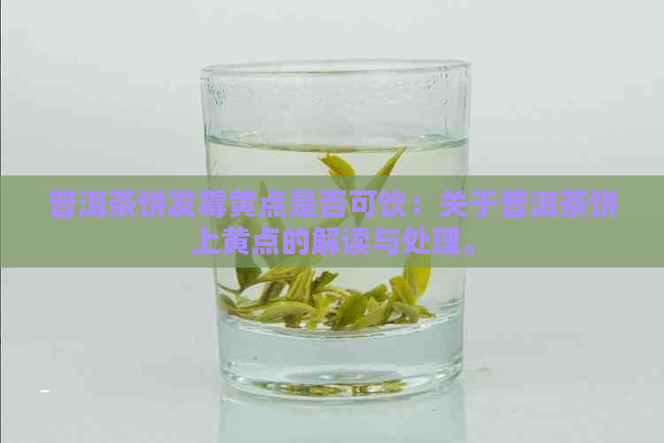 普洱茶饼发霉黄点是否可饮：关于普洱茶饼上黄点的解读与处理。