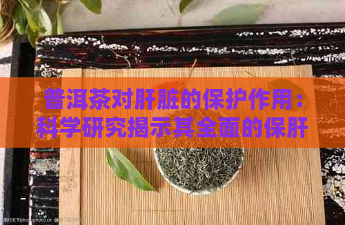 普洱茶对肝脏的保护作用：科学研究揭示其全面的保肝护肝效果