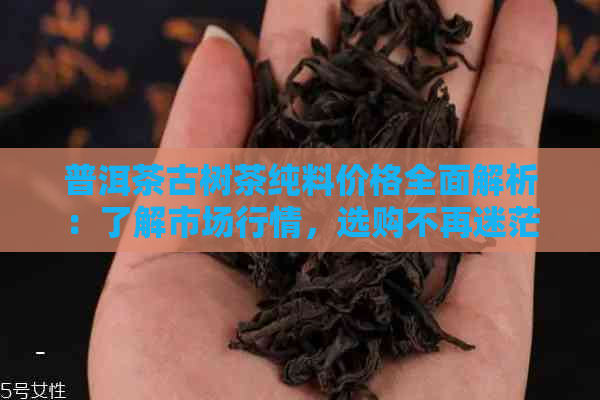 普洱茶古树茶纯料价格全面解析：了解市场行情，选购不再迷茫