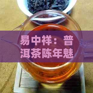 易中祥：普洱茶陈年魅力揭秘，是否真的越陈越香？