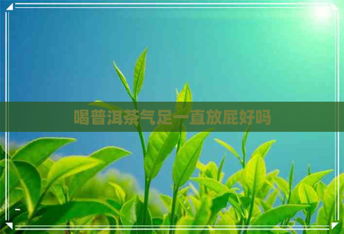 喝普洱茶气足一直放屁好吗