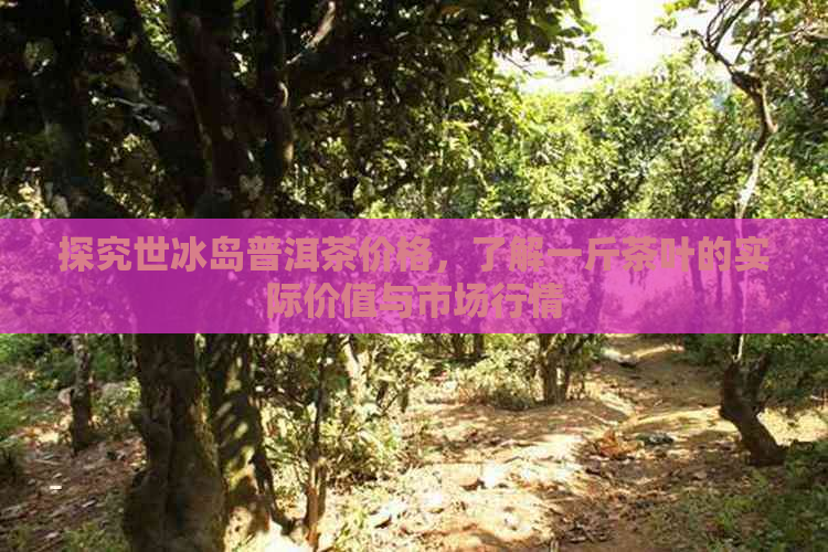 探究世冰岛普洱茶价格，了解一斤茶叶的实际价值与市场行情