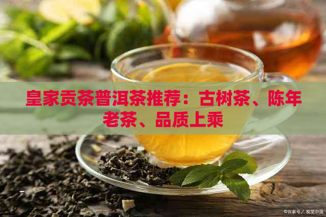 皇家贡茶普洱茶推荐：古树茶、陈年老茶、品质上乘