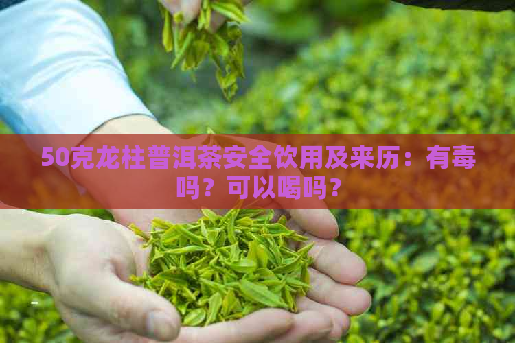 50克龙柱普洱茶安全饮用及来历：有吗？可以喝吗？