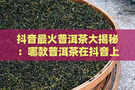 抖音最火普洱茶大揭秘：哪款普洱茶在抖音上更受欢迎？