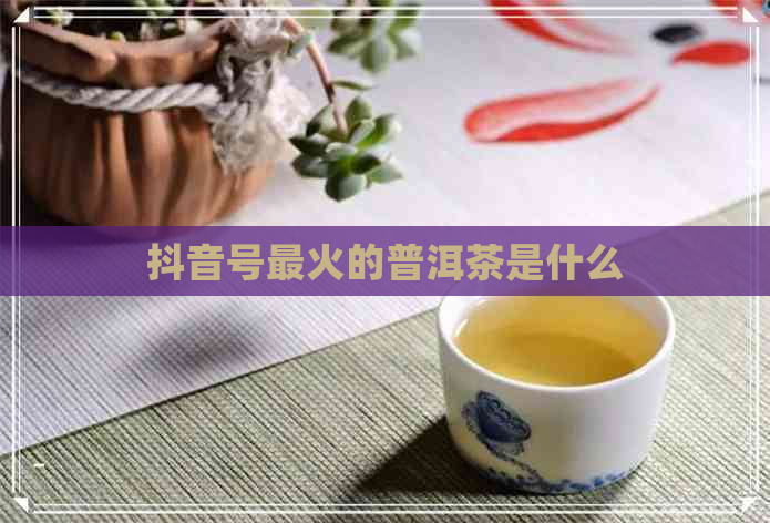 抖音号最火的普洱茶是什么