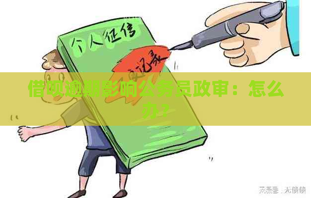 借呗逾期影响公务员政审：怎么办？