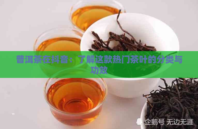 普洱茶在抖音：了解这款热门茶叶的分类与功效