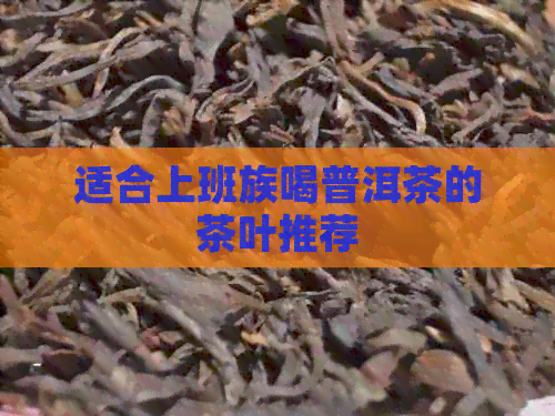 适合上班族喝普洱茶的茶叶推荐