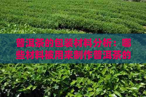 普洱茶的包装材料分析：哪些材料被用来制作普洱茶的包装？