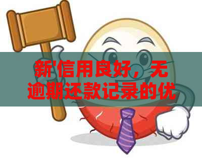 新'信用良好，无逾期还款记录的优质客户'