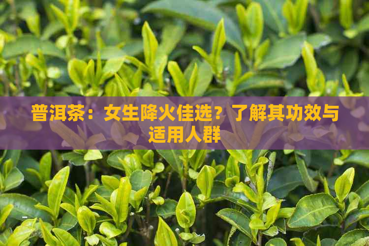 普洱茶：女生降火佳选？了解其功效与适用人群