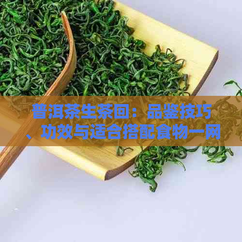 普洱茶生茶回：品鉴技巧、功效与适合搭配食物一网打尽！