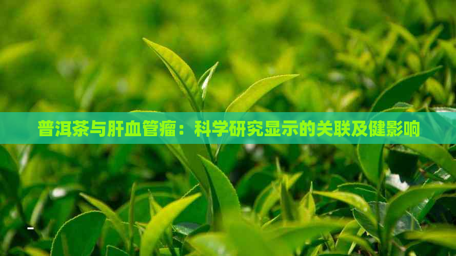 普洱茶与肝血管瘤：科学研究显示的关联及健影响