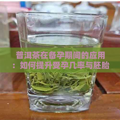 普洱茶在备孕期间的应用：如何提升受孕几率与胚胎健