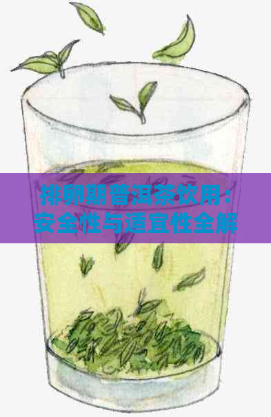 排卵期普洱茶饮用：安全性与适宜性全解析