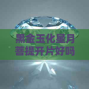 黑金玉化星月菩提开片好吗值钱吗？怎么辨别真假及盘玩效果？