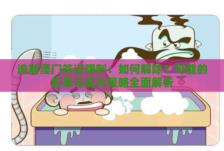 逾期签证限制：如何解除？可能的后果与应对策略全面解析