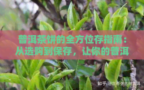 普洱茶饼的全方位存指南：从选购到保存，让你的普洱茶饼焕发风味！