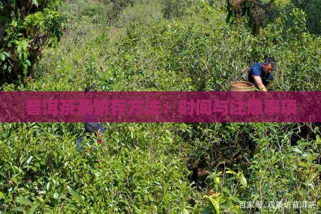 普洱茶茶饼存方法：时间与注意事项