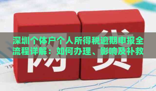 深圳个体户个人所得税逾期申报全流程详解：如何办理、影响及补救措