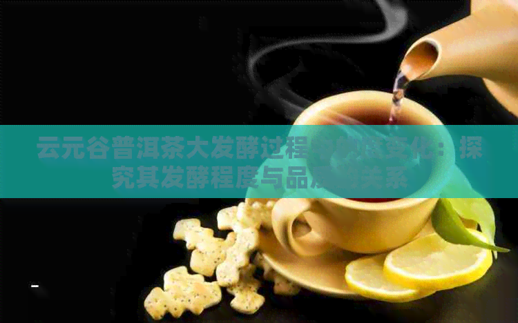 云元谷普洱茶大发酵过程中的度变化：探究其发酵程度与品质的关系